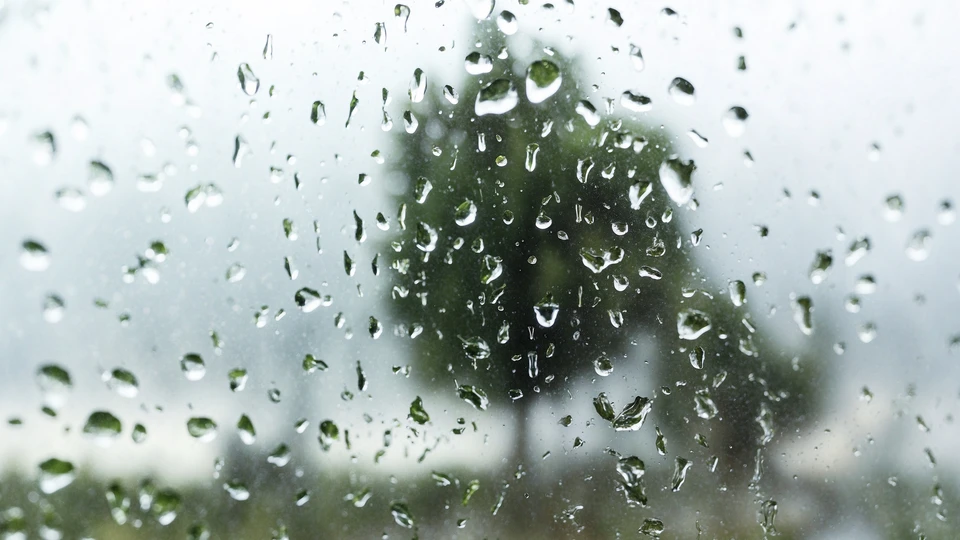 Raindrops on a Glass Wallpaper