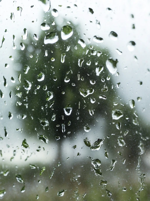 Raindrops on a Glass Wallpaper