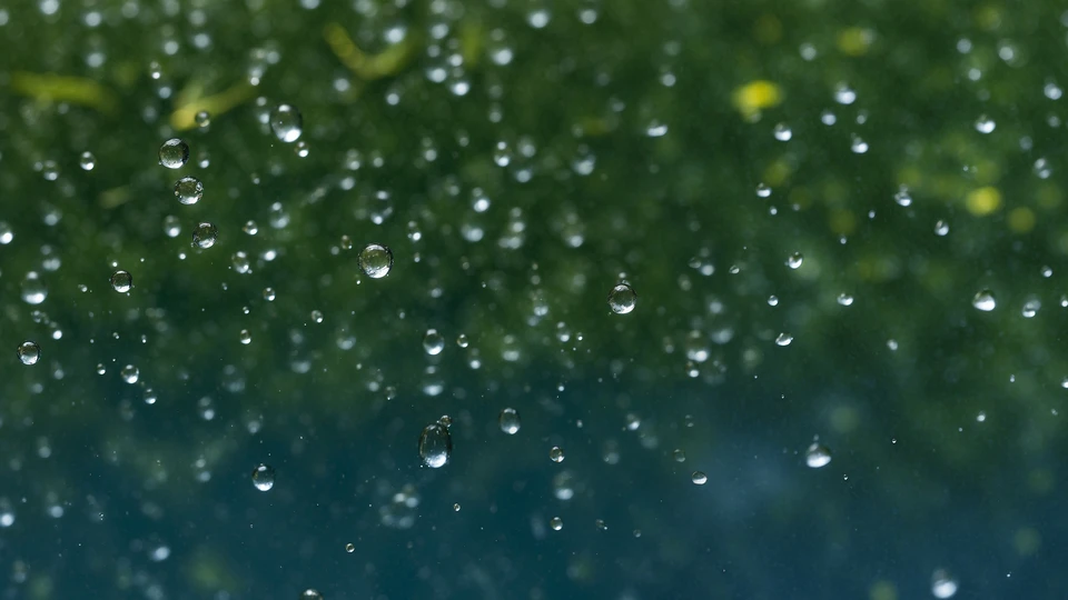 Rain Drops Close-Up Image