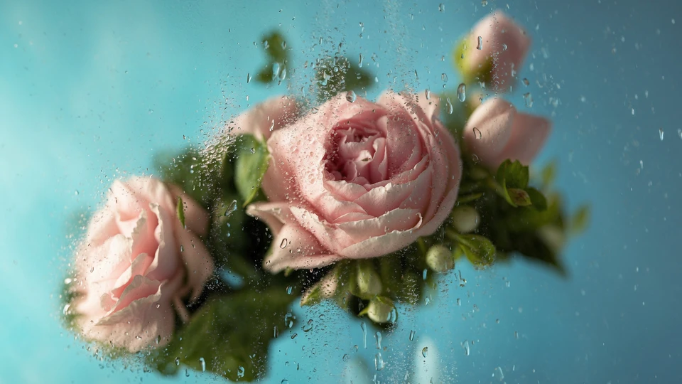 Flowers under the Wet Glass Image