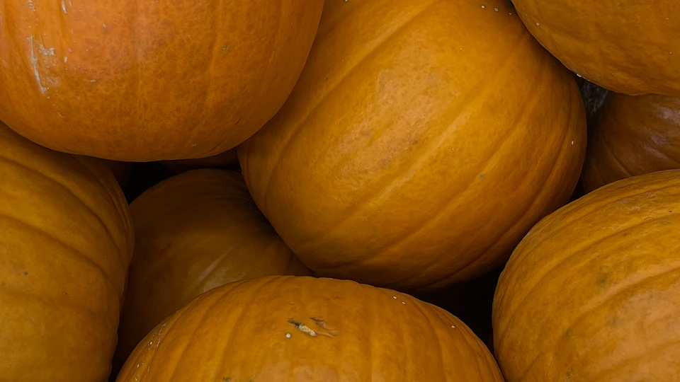Close-Up Pumpkin Image