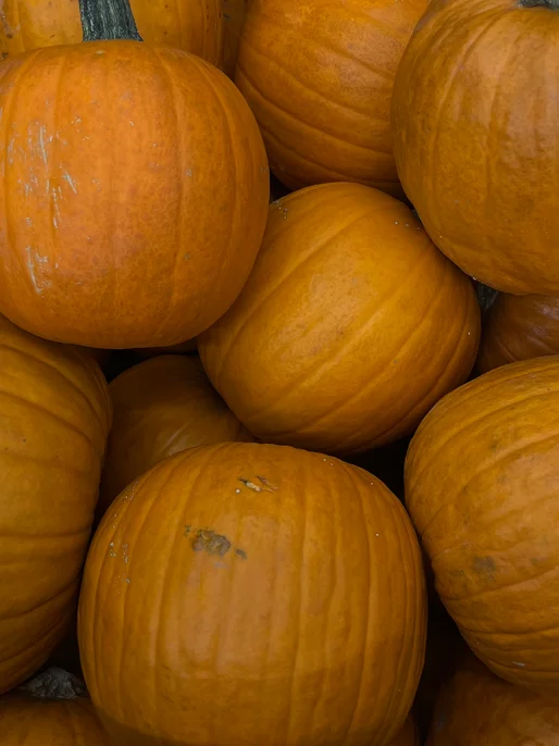 Close-Up Pumpkin Image