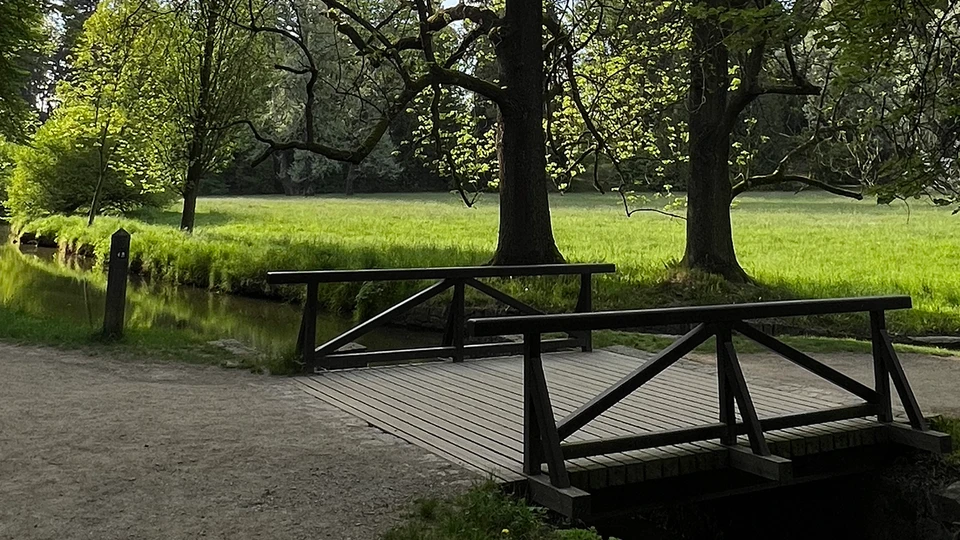 Wood Bridge Wallpaper