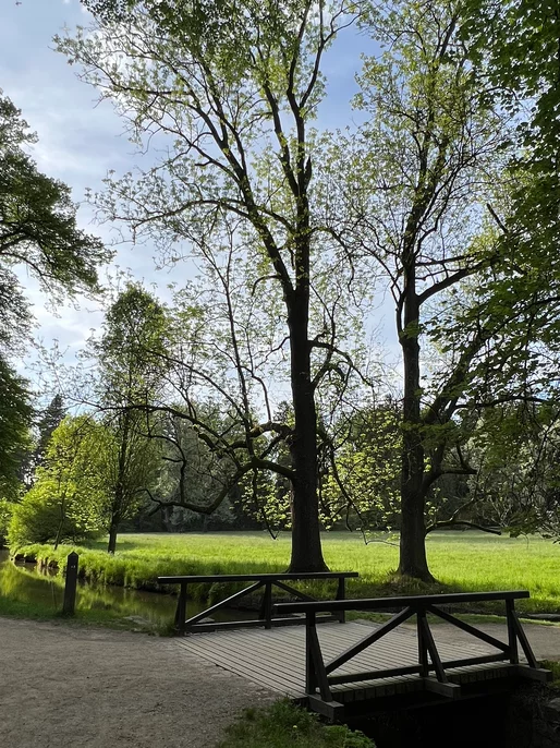 Wood Bridge Wallpaper