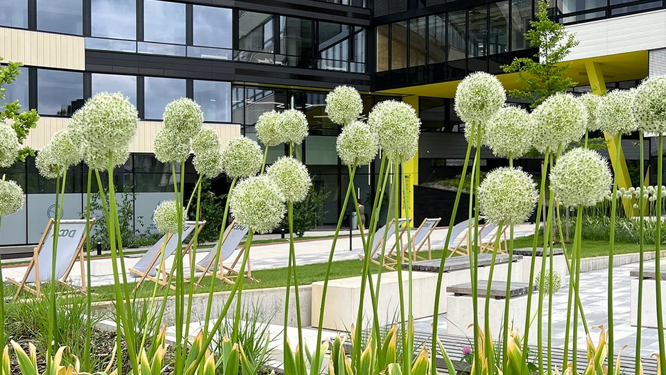 Office Building Front Garden