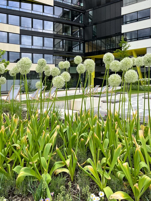 Office Building Front Garden