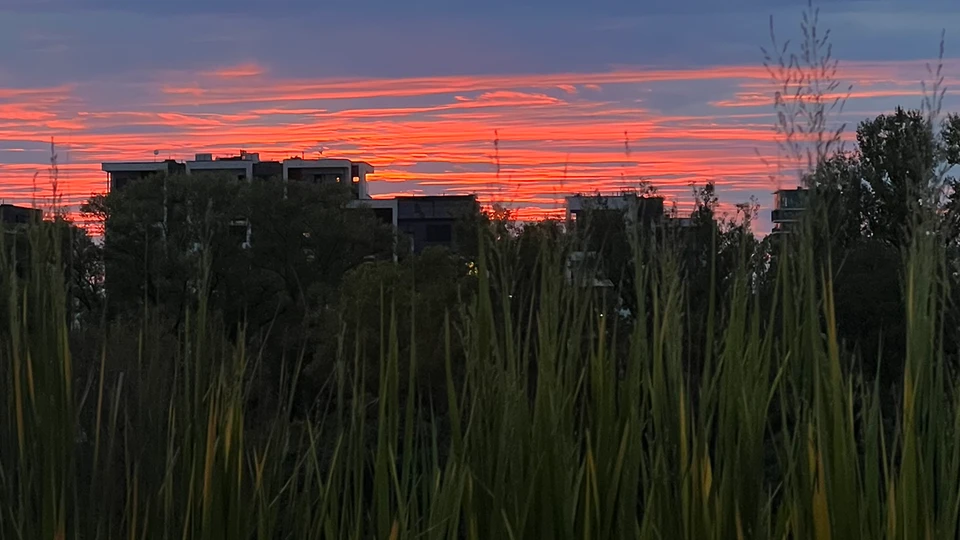 City Sunset Wallpaper