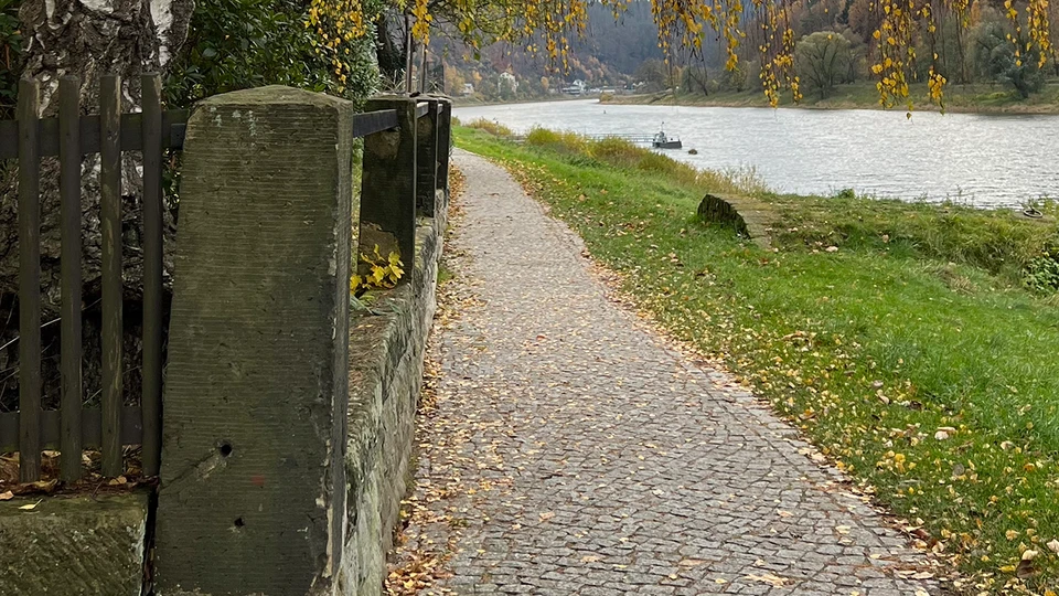 Street Path By River 