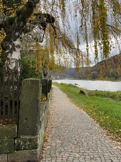 Street Path By River 