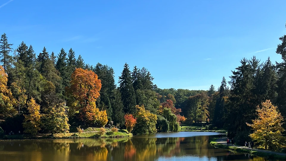 Autumn River Landscape