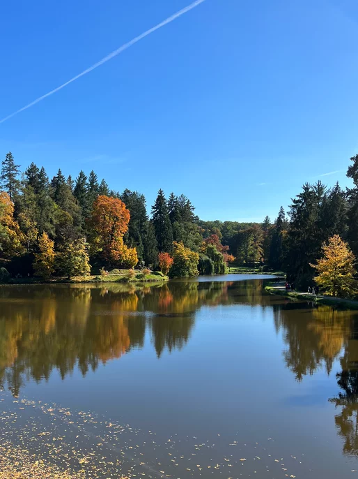 Autumn River Landscape