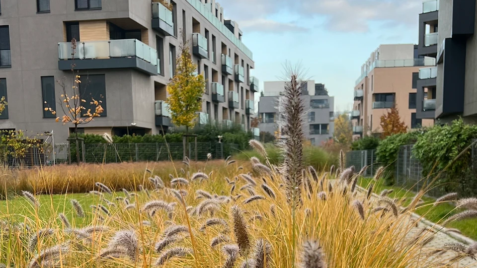 Front Yard City Garden