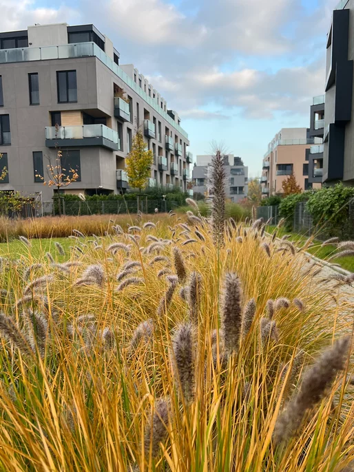 Front Yard City Garden