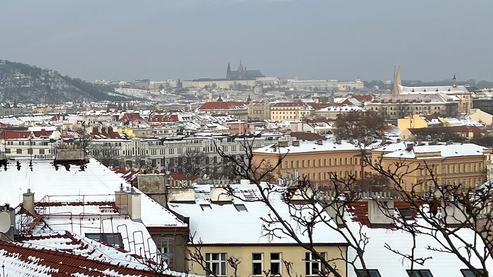 Snowy City Roofs Wallpaper