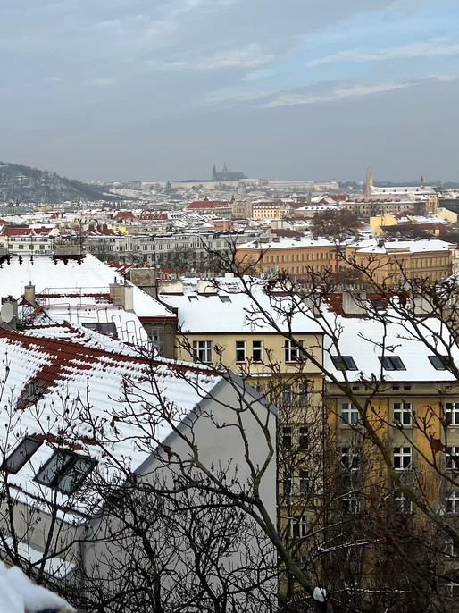 Snowy City Roofs Wallpaper