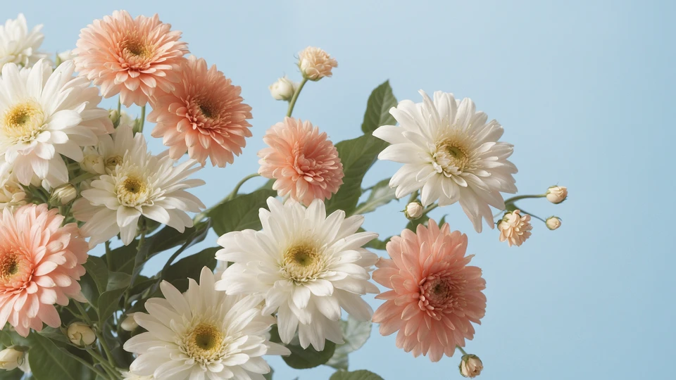 Pink & White  Flowers Background