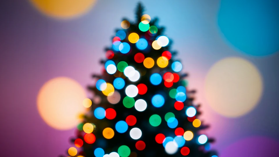 Blurred Tree with Bokeh Lights