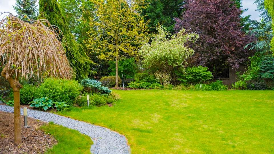 Spring Garden With Trees Background