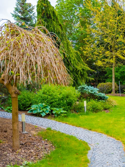 Spring Garden With Trees Background