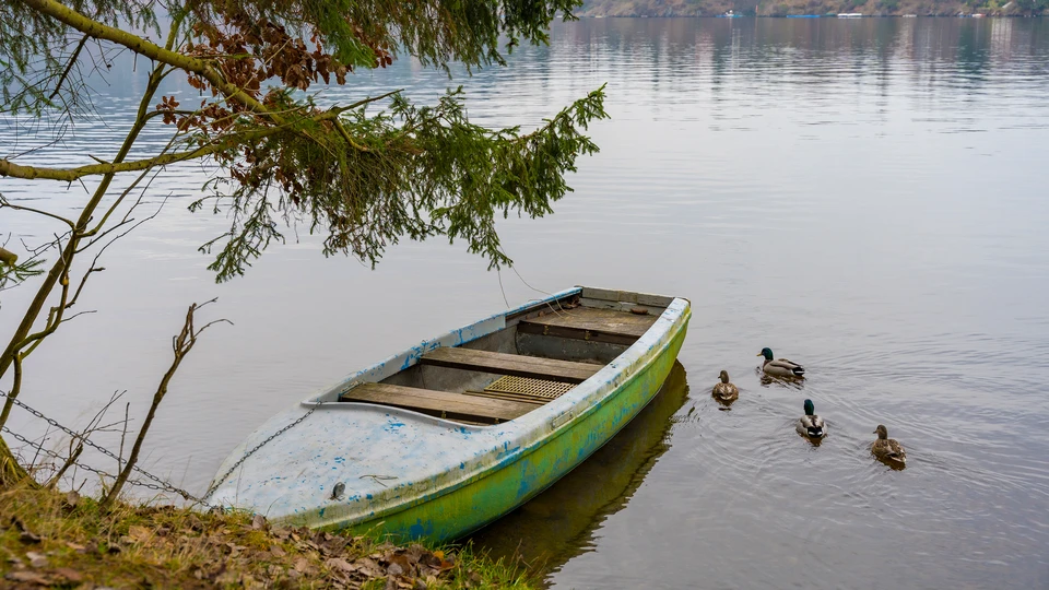 Old Boat On The Lake Image