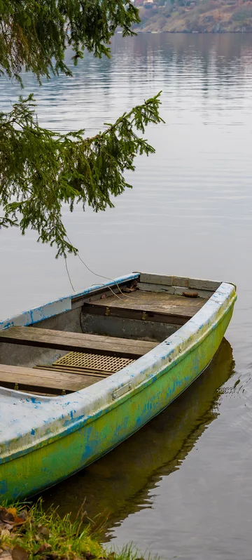 Old Boat On The Lake Image