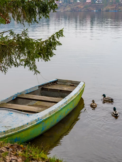 Old Boat On The Lake Image