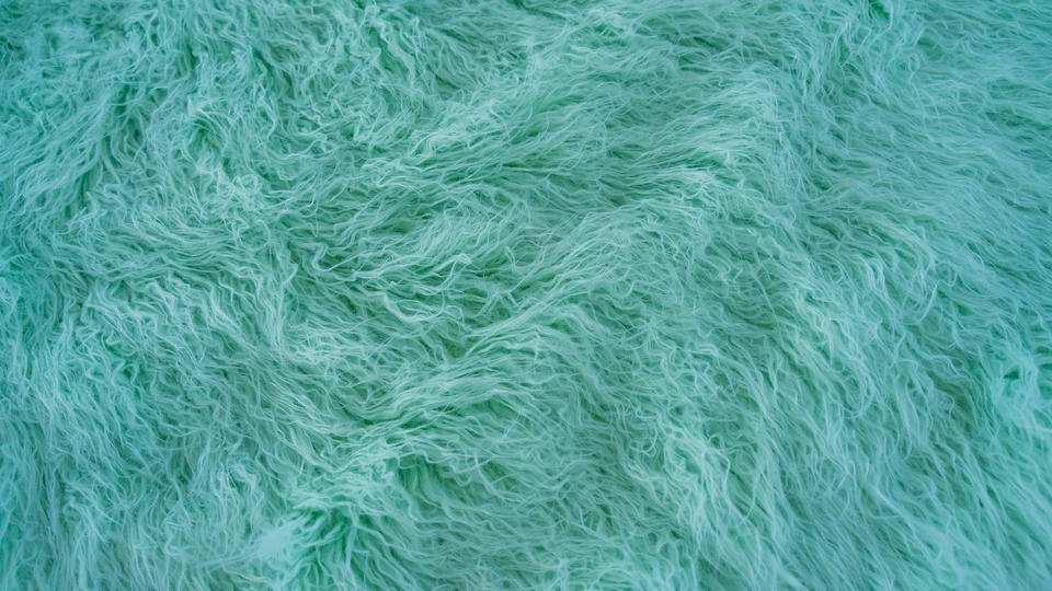 Green Fur Texture Close Up View 