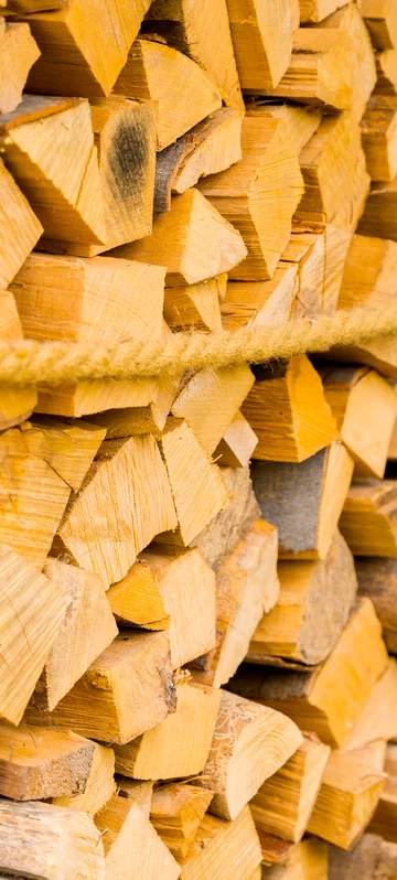 Chopped Firewood Image 