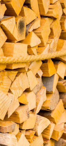 Chopped Firewood Image 