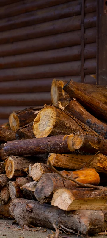 Firewood Near The House Screen