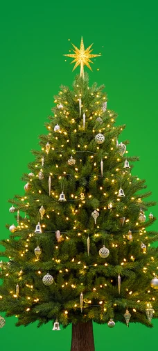 Holiday Tree Background
